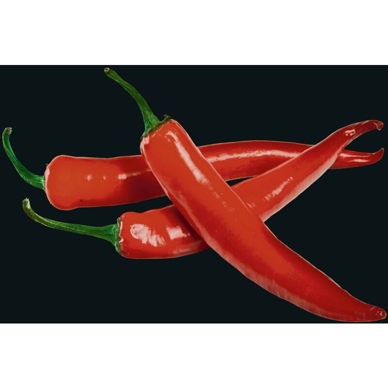 Fond de hotte Verre, crédence murs 'Hot Peperoni' Wenko hygiènique et résistant aux chocs, protège vos murs des éclaboussures, nettoyable, 60x70cm,