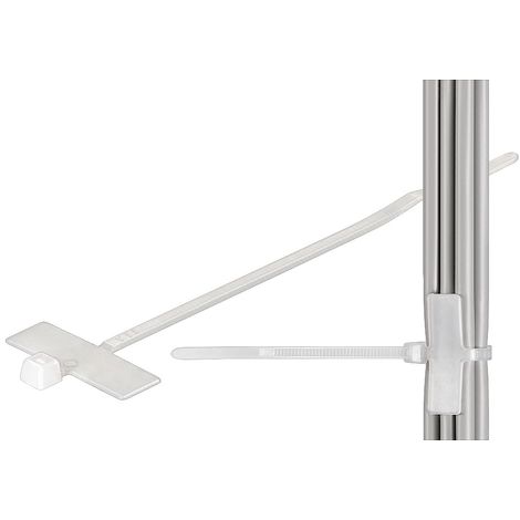 Wentronic Attache de c/âble 12 mm Blanc 100 pi/èces