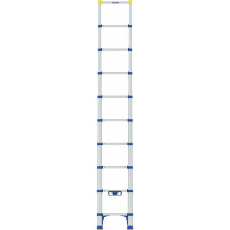 Werner Teleskop Anlegeleiter 2,90m