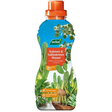 Westland Kakteen- & Sukkulenten Wasser 720 ml Dünger