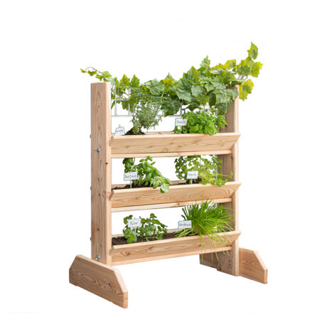 Westmann Étagère à herbes aromatiques en mélèze avec treillis Viktoria L  Nature  50x80x95 cm