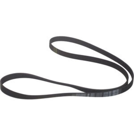 Whirlpool - courroie poly-v 1204 h8 elastique - 481235818167 -
