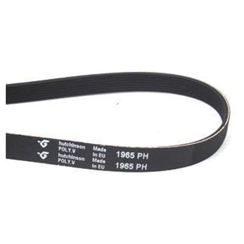 Kirlpool Drying Belt 1965 H6 4812358181