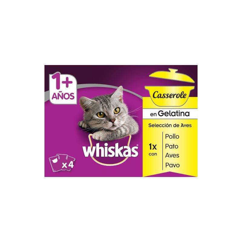 

Casserole 1+ Aves Comida Húmeda Pack de 4 - Whiskas