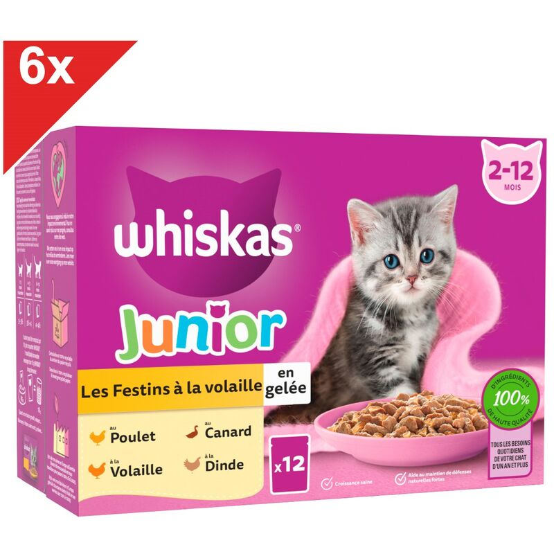 Junior 72 Sachets fraîcheur en gelée 4 variétés pour chaton 85g (6x12) - Whiskas