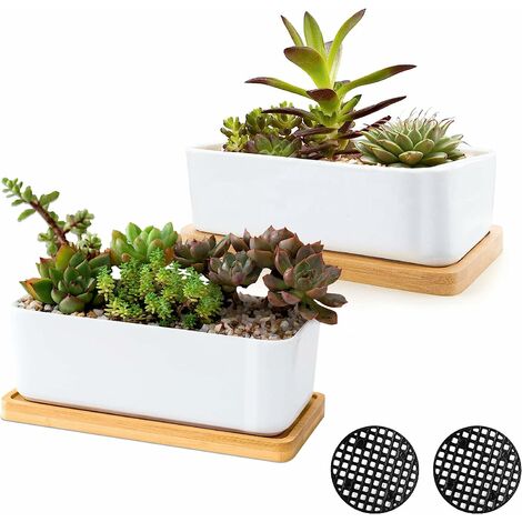 White Ceramic Succulent Pots, Set of 2 Small Cactus Containers, Bonsai Pots, Flower Pots with Drainage Hole and Bamboo Bowl (No Plant)