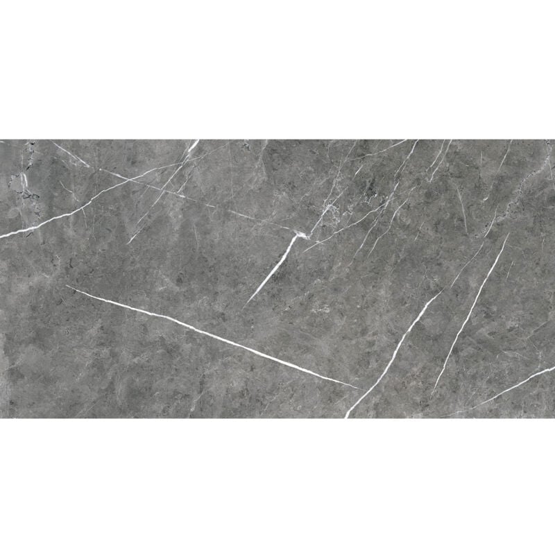 Theatre Polished Grey 30cm x 60cm Porcelain Wall and Floor Tile - Grey - Wholesale Domestic