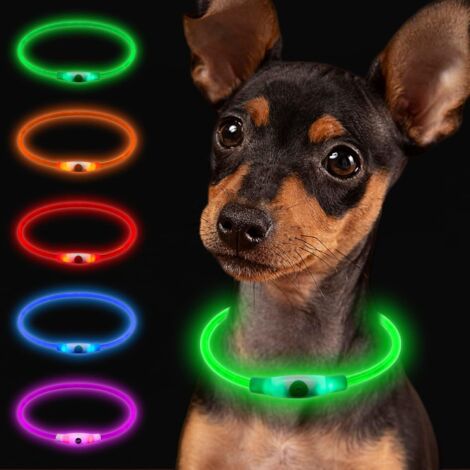 Wiederaufladbares, leuchtendes Hundehalsband, LED-Hundehalsband, verstellbare Länge für Welpen, Katzen, kleine und große Hunde, fluoreszierendes Hundehalsband mit 3 Lichtmodi, wasserdicht, grün