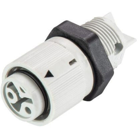 Wieland Electric 46.031.5054.0 Rundstecker Buchse, Einbau Gesamtpolzahl: 2 Serie (Rundsteckverbinder