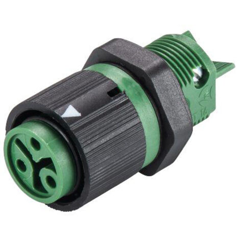 Wieland Electric 46.031.5055.7 Rundstecker Buchse, Einbau Gesamtpolzahl: 2 + PE Serie (Rundsteckverb