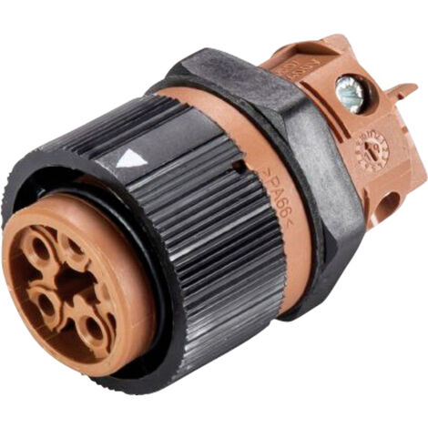 Wieland Electric 46.051.5050.4 Rundstecker Buchse, Einbau Gesamtpolzahl: 5 Serie (Rundsteckverbinder