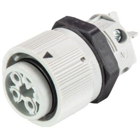 Wieland Electric 46.051.5054.0 Rundstecker Buchse, Einbau Gesamtpolzahl: 3 + PE Serie (Rundsteckverb