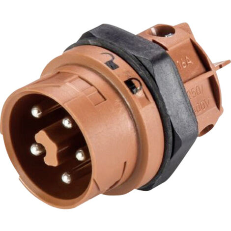 Wieland Electric 46.052.5050.4 Rundstecker Stecker, Einbau Gesamtpolzahl: 5 Serie (Rundsteckverbinde