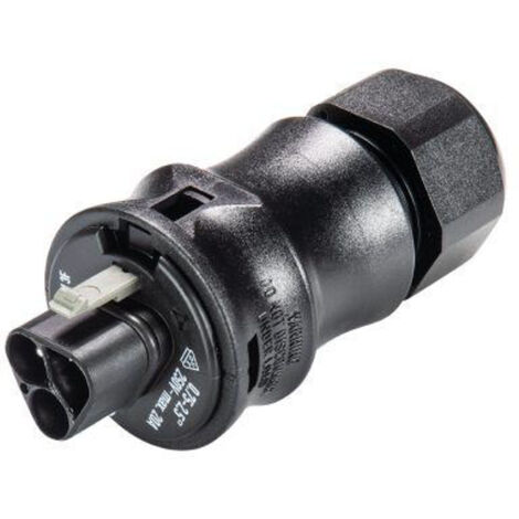 Wieland Electric 96.032.0053.1 Rundstecker Stecker, gerade Gesamtpolzahl: 3 1 St.