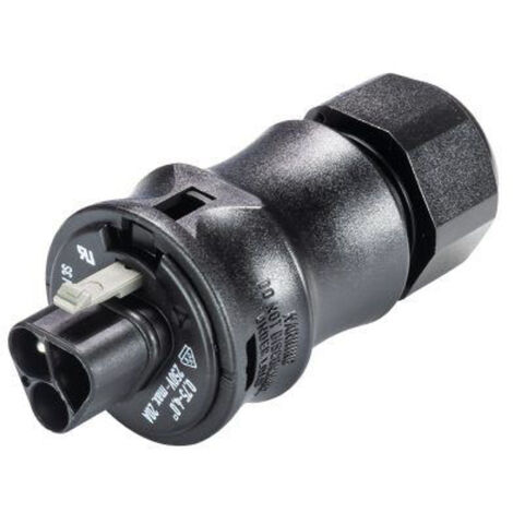 Wieland Electric 96.032.0153.1 Rundstecker Stecker, gerade Gesamtpolzahl: 3   1 St.