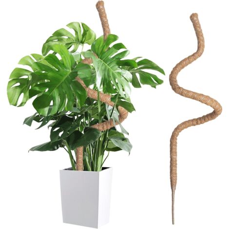 Wigearss Tuteur Plante Intérieur 120cm, Support Grimpant en Coco Pliable, Poteau de Croissance pour Jardin Domestique, Plante Monstera