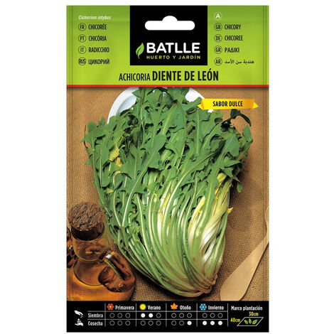 Semillas Batlle SACHET DE GRAINE CHOU BROCOLI VERT à prix pas cher