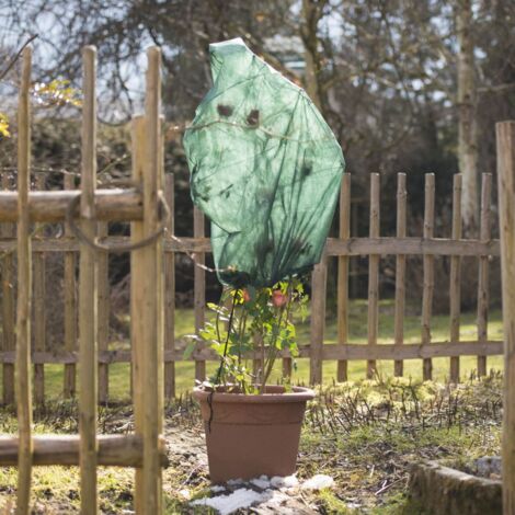 Windhager Rosenvlies-Haube 0,75 x 1 m, grün, 3 Stück Schutzvlies