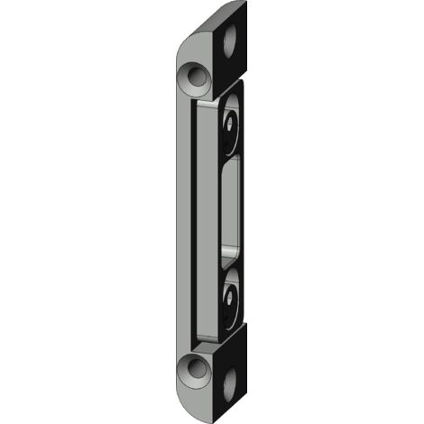 Winkhaus B2 Schliessplatte Silber