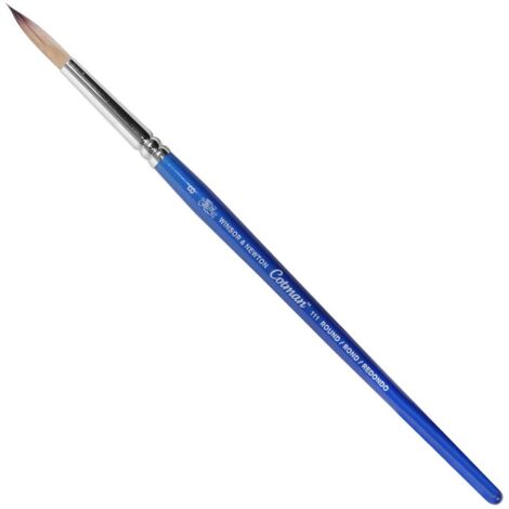 Winsor & Newton Cotman 5301008, Pennello, Legno, 8, Blu
