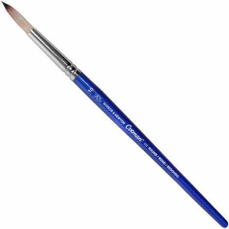 Winsor & Newton Cotman 5301010, Pennello, Legno, 10, Blu