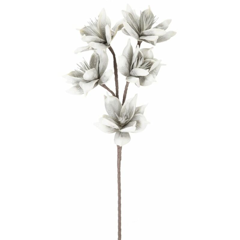 Mauroferretti - wintersweet flower X5 grigio cm