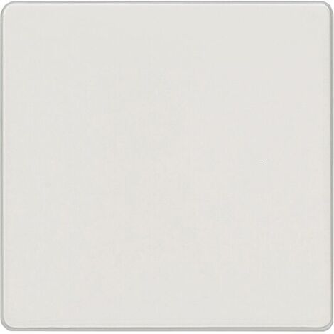 Wippe neutral/ elektroweiß 55 mm x 55 mm Schutzart IP20