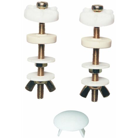 Wirquin 19021009 M21 - Viti per fissaggio cassette WC