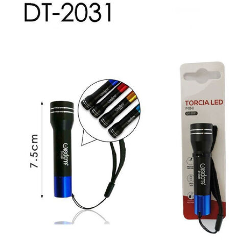 Wisdom - Set 2 Pezzi Mini Torcia Led Tascabile Per Escursioni Campeggi Vari Colori Dt2031 -
