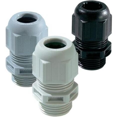 WISKA ESKV-SET 32 BLISTER MIT JE 2 ST CK