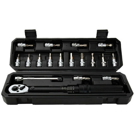 WISRETEC 2-20Nm 1/4 Pouce 18PCS Double Scable Clé dynamométrique Jeu d'embouts de clé dynamométrique préréglée Clé dynamométrique réglable pour la réparation de voiture de vélo domestique avec boîte d