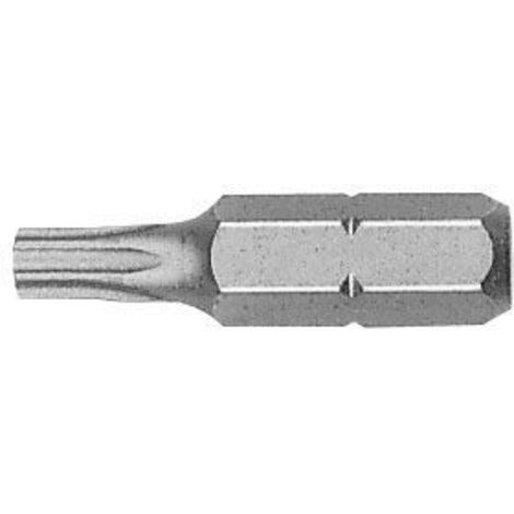 WITTE 429483 - 5 embouts Torx de sécurité dans une boîte en plastique de 25 mm de long (TS 25)