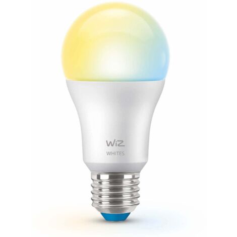 WiZ AMPOULE MODERNE Ampoule 60 W A60 E27