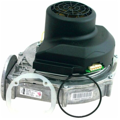Wolf Gasgebläse 213695699 RG-148 Boost