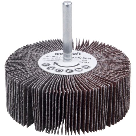 Wolfcraft - 1 Fächerschleifer S=6mm K60 ø80x30mm - 2033000