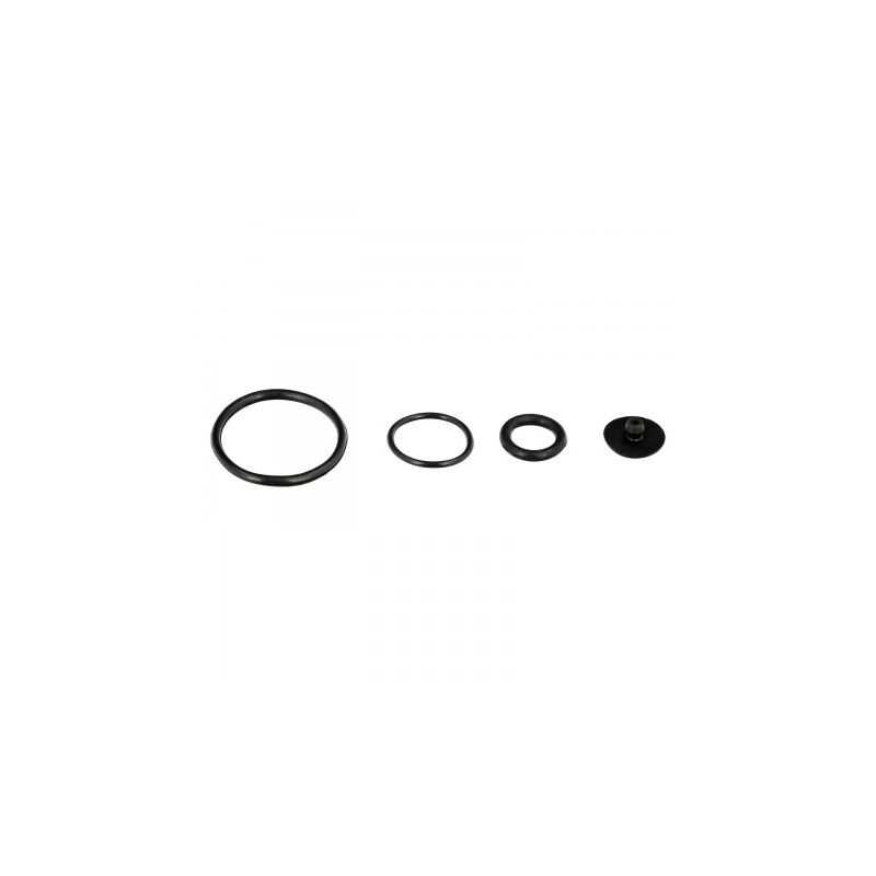 

Anillos para pulverizador 2 litros modelo 08052105 - Wolfpack