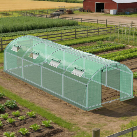 Wolketon Gewächshaus, Tomatenhaus mit Tür 8 Fenster, 300x800x200 cm, Grün