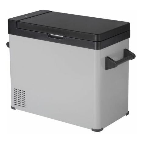 Mini congelatore del frigorifero dell'auto, frigorifero portatile da  campeggio elettrico Ice Box 6l, scatola di raffreddamento del dispositivo  di raffreddamento a doppio uso del campeggio Scatola di raffreddamento  dell'isolamento a doppio uso