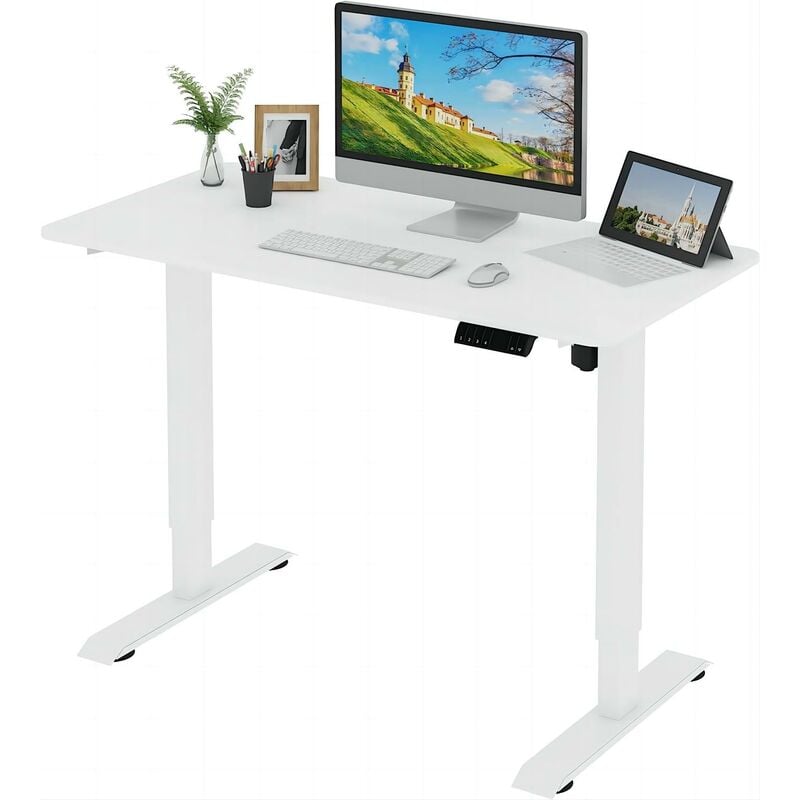 Woltu - Bureau Assis Debout Électrique avec Plateau 120x60cm, Réglable en Hauteur, Blanc + Cadre Blanc