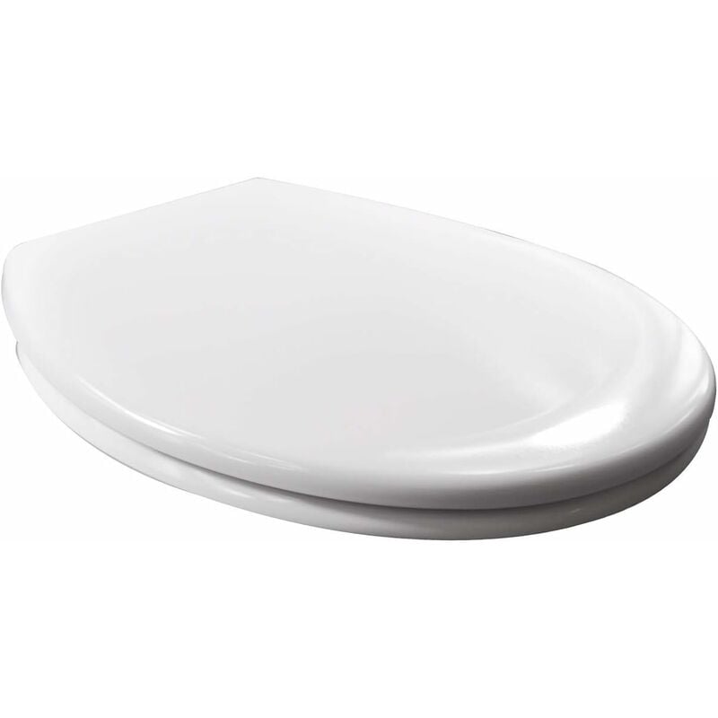 Heavy Duty Soft Close Quick Release Toilet Seat with Dual Fixing Fittings.White - Woltu