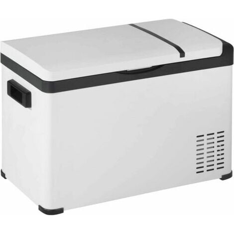 YOLEO Mini frigo 15L portatile in acciaio inossidabile con funzione di  raffreddamento e riscaldamento 0 ~