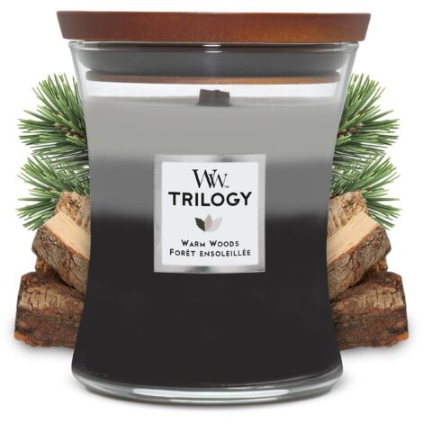 WoodWick Trilogy candela profumata a clessidra media con Pluswick Innovation, Legno caldo