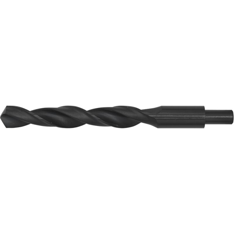 Blacksmith Bit - 20 x 205MM - Sealey