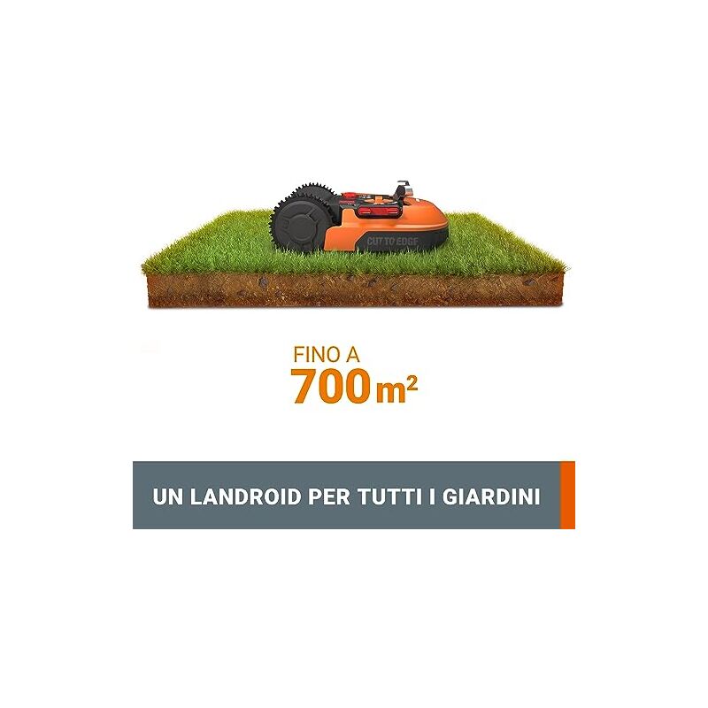 Una immagine