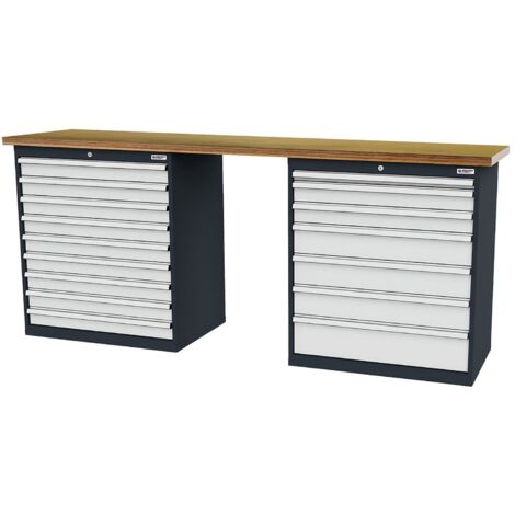 WS24 Reihenwerkbank B x T x H 2.500 x 600 x 1060 mm - WS24-100282