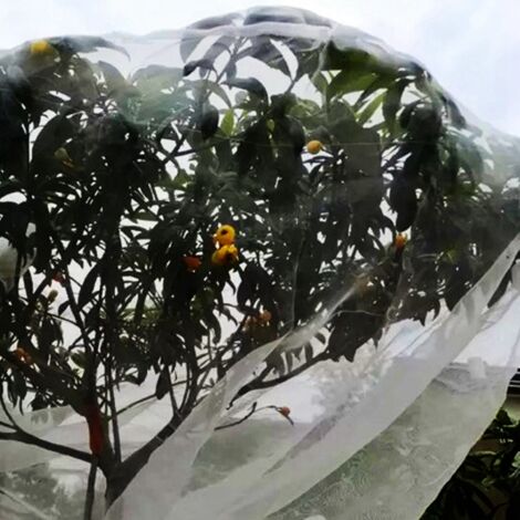 x 10 m robustes Insektennetz für Garten, Pflanzen- und Ernteschutz