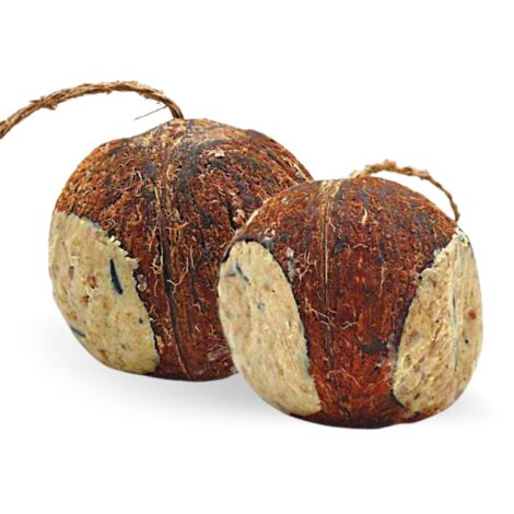 x 4 pcs. Lyra Pet® Noix de coco farcie avec trous