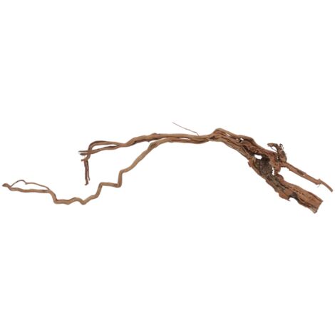 XL Drachen Wurzel Nr.7095 Holz Deko Aquascaping