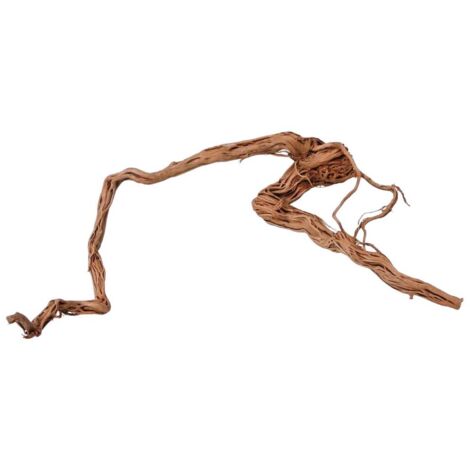 XL Drachen Wurzel Nr.8086 Holz Deko Aquascaping