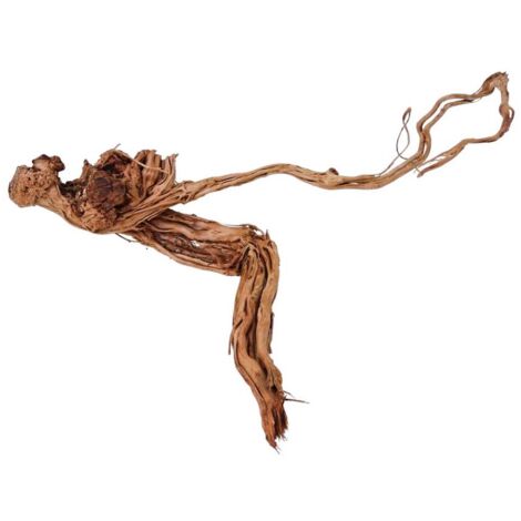XL Drachen Wurzel Nr.8101 Holz Deko Aquascaping